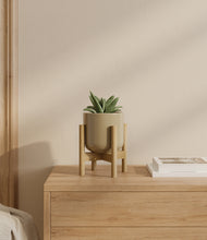 Load image into Gallery viewer, Sage Green stand:bamboo