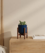 Load image into Gallery viewer, Twilight Blue stand:walnut