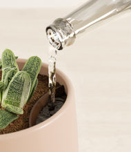 Load image into Gallery viewer, Gentle Pink stand:all