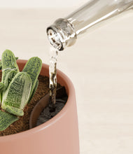 Load image into Gallery viewer, Calm Rose stand:all