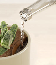 Load image into Gallery viewer, Sage Green stand:all