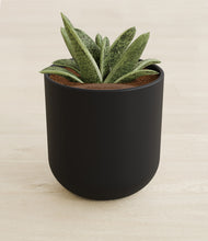 Load image into Gallery viewer, Stone Black stand:all