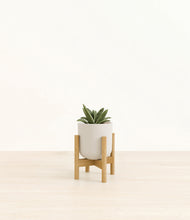 Load image into Gallery viewer, Natural Bamboo stand:bamboo