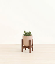 Load image into Gallery viewer, Sandy Pink stand:walnut