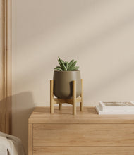 Load image into Gallery viewer, Olive stand:bamboo