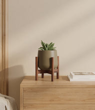 Load image into Gallery viewer, Olive stand:walnut