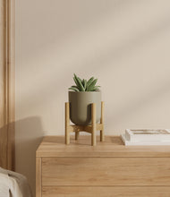 Load image into Gallery viewer, Sage Green stand:bamboo