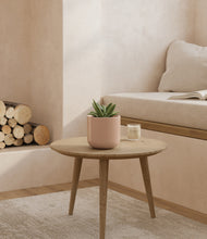 Load image into Gallery viewer, Sandy Pink