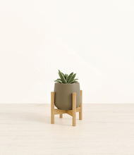 Load image into Gallery viewer, Olive stand:bamboo