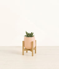 Load image into Gallery viewer, Gentle Pink stand:bamboo