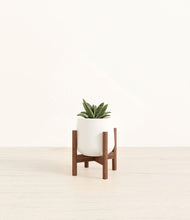 Load image into Gallery viewer, White stand:walnut