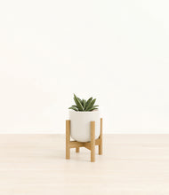 Load image into Gallery viewer, Cotton White stand:bamboo