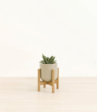 Load image into Gallery viewer, Sage Green stand:bamboo