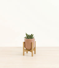 Load image into Gallery viewer, Hammered Peach Pink stand:walnut