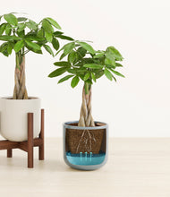 Load image into Gallery viewer, Pebble Shore stand:one_stand