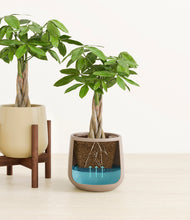 Load image into Gallery viewer, Woodland stand:one_stand