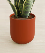 Load image into Gallery viewer, Earth Red stand:all