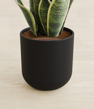 Load image into Gallery viewer, Stone Black stand:all