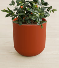 Load image into Gallery viewer, Earth Red stand:all