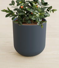 Load image into Gallery viewer, Iron Gray stand:all