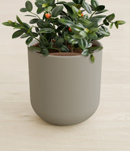 Load image into Gallery viewer, Sage Green stand:all