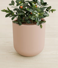 Load image into Gallery viewer, Sandy Pink stand:all