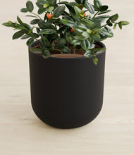 Load image into Gallery viewer, Stone Black stand:all