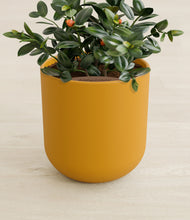 Load image into Gallery viewer, Sunset Orange stand:all