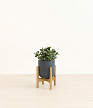 Load image into Gallery viewer, Iron Gray stand:bamboo