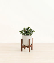 Load image into Gallery viewer, Natural Bamboo stand:walnut