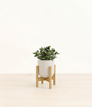 Load image into Gallery viewer, Natural Bamboo stand:bamboo