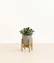 Load image into Gallery viewer, Sage Green stand:bamboo