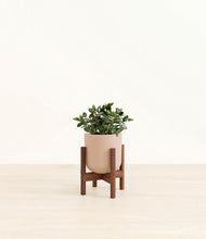 Load image into Gallery viewer, Sandy Pink stand:walnut