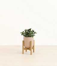 Load image into Gallery viewer, Sandy Pink stand:bamboo