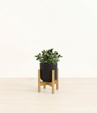 Load image into Gallery viewer, Stone Black stand:bamboo