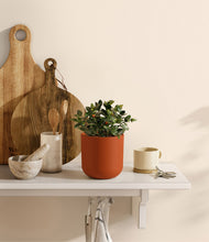 Load image into Gallery viewer, Earth Red