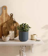 Load image into Gallery viewer, Iron Gray