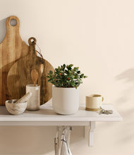 Load image into Gallery viewer, Natural Bamboo