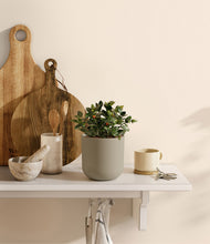 Load image into Gallery viewer, Sage Green