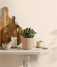 Load image into Gallery viewer, Sandy Pink