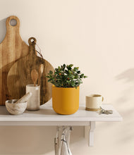 Load image into Gallery viewer, Sunset Orange