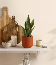 Load image into Gallery viewer, Earth Red