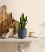 Load image into Gallery viewer, Iron Gray