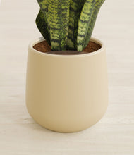 Load image into Gallery viewer, Almond Green stand:all