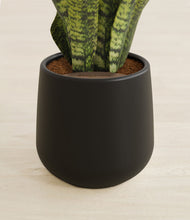 Load image into Gallery viewer, Black stand:all