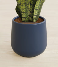 Load image into Gallery viewer, Deep Navy stand:all