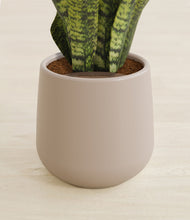 Load image into Gallery viewer, Eternal Gray stand:all