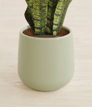 Load image into Gallery viewer, Turquoise stand:all