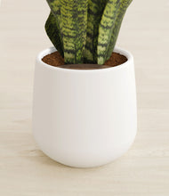 Load image into Gallery viewer, White stand:all