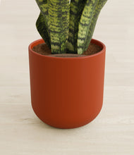 Load image into Gallery viewer, Earth Red stand:all